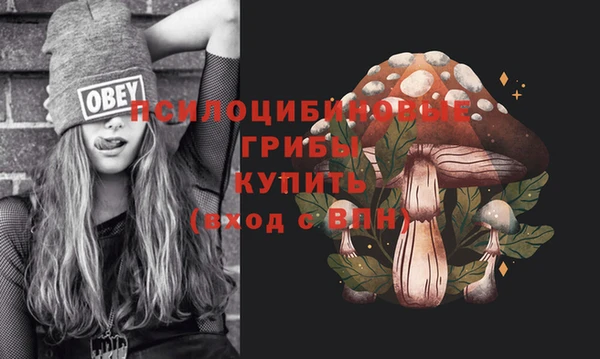 прущие крисы Армянск